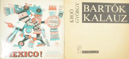 17 darab bakelit lemez, közte jó darabokkal, több francia kiadással