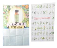 cca 1990-2000 2 db plakát: Aroma terápia, szign. Hodosi Mária, 67,5x45,5 cm + Gyógy- és fűszernövények, 60x40 cm