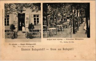 Budapest, Fő tejüzlet, svájci kerti tejtelep. Nagy János utca 36. és Aréna út 104. Kálmán M. és Társa kiadása (fl)