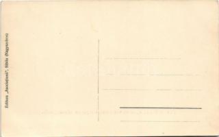 Nagyszeben, Hermannstadt, Sibiu; M. Eminescu, Gh. Baritiu, Pentru busturile, ce se vor ridica din pa...