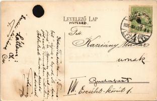 1908 Budapest, SMS TEMES, SMS BODROG monitorok és SM Pb "a" őrnaszád, matrózok. Dunaflotti...