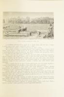 Malonyay Dezső: A magyar nép művészete I-V. kötet. Bp., 1984-1987, Helikon. Reprint kiadás. Rendkívü...