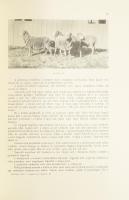 Malonyay Dezső: A magyar nép művészete I-V. kötet. Bp., 1984-1987, Helikon. Reprint kiadás. Rendkívü...