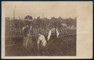 1907 Mozog István fiumei iskolaigazgató fotólapja, elküldve, 9×14 cm