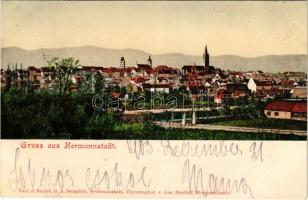 1903 Nagyszeben, Hermannstadt, Sibiu; látkép. G. A. Seraphin kiadása. Chromophot. v. Jos. Drotleff / general view