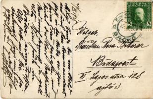 1915 Dampfer Zrínyi Miklós / ZRÍNYI MIKLÓS gőzhajó, fedélzet matrózzal és kutyákkal. Az első világhá...