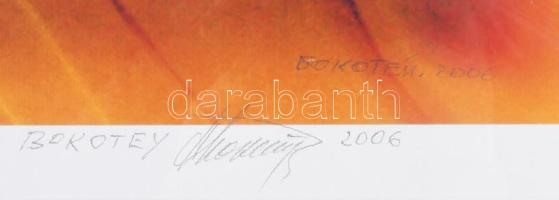 Bokotey András (-2017): "Bepcii", 2006. Computer print, papír. Jelzett. Dekoratív, üvegeze...