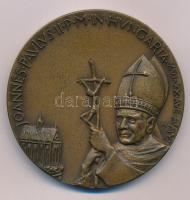 Kiss György (1943-2016) 1991. "II. János Pál látogatása hazánkban" kétoldalas bronz emlékérem "JOANNES PAVLVS II P M IN HVNGARIA XVI XX AVG MCMXCI / BUDAPEST ESZTERGOM PÉCS MÁRIAPÓCS DEBRECEN SZOMBATHELY" (65mm) T:AU patina