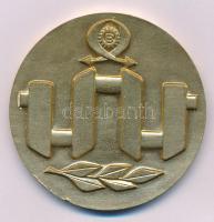 Csehszlovákia 1986. "Brünni Nemzetközi Vásár" kétoldalas aranyozott bronz emlékérem (60mm)...