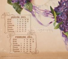 1905 Az Equitable - Egyesült Államokbéli Életbiztosító Társaság 1905-ös naptára. (magyarországi vezé...