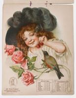 1905 Az Equitable - Egyesült Államokbéli Életbiztosító Társaság 1905-ös naptára. (magyarországi vezé...