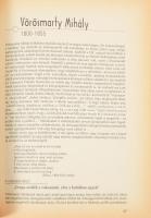 Dr. Czeizel Endre: Aki költő akar lenni, pokolra kell annak menni? Magyar költő-géniuszok testi és l...