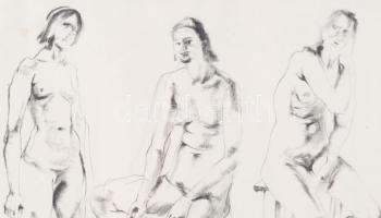 Holló László (1887-1976): Női aktok. Szén, papír, jelzett. Üvegezett fakeretben, 23x29,5 cm