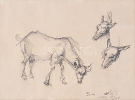 Holló László (1887-1976): Állat tanulmányok, 1969. Szén, papír, jelzett. Üvegezett fakeretben, 19x25 cm