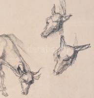 Holló László (1887-1976): Állat tanulmányok, 1969. Szén, papír, jelzett. Üvegezett fakeretben, 19x25...