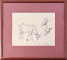 Holló László (1887-1976): Állat tanulmányok, 1969. Szén, papír, jelzett. Üvegezett fakeretben, 19x25...