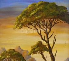 Gálfi Ákos (1947-): Vízparti táj. Olaj, farost, jelzett, fakeretben, 30×20 cm