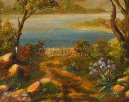 Gálfi Ákos (1947-): Vízparti táj. Olaj, farost, jelzett, fakeretben, 30×20 cm