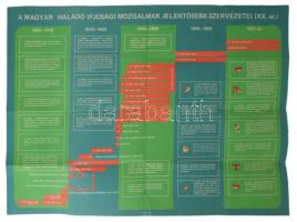 cca 1970 A magyar haladó ifjúsági mozgalmak jelentősebb szervezetei (XX. sz.), poszter, hajtott, 48x68 cm