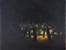 L Paál jelzéssel: Erdei fények. Olaj, vászon, 60×79,5 cm