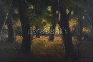 L Paál jelzéssel: Erdei fények. Olaj, vászon, 60×79,5 cm