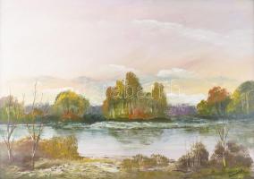 Mednyánszky jelzéssel: Vízparti táj. Olaj, fa, 48×68,5 cm. Dekoratív fakeretben