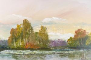 Mednyánszky jelzéssel: Vízparti táj. Olaj, fa, 48×68,5 cm. Dekoratív fakeretben