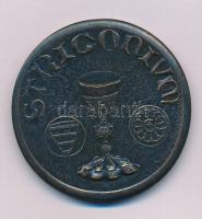 DN "STRIGONIUM" kétoldalas bronz emlékérem (49mm) T:AU, patina