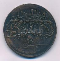 DN "STRIGONIUM" kétoldalas bronz emlékérem (49mm) T:AU, patina