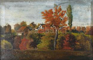 Mészöly G jelzéssel: Táj. Olaj, vászon. Javított. 40×60 cm. Fakeretben