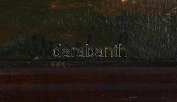 Mészöly G jelzéssel: Táj. Olaj, vászon. Javított. 40×60 cm. Fakeretben