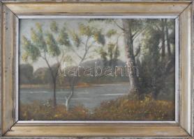 Mednyánszky jelzéssel: Vízparti táj. Olaj, farost, 33×49 cm. Dekoratív, sérült fakeretben.