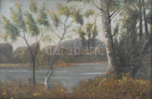 Mednyánszky jelzéssel: Vízparti táj. Olaj, farost, 33×49 cm. Dekoratív, sérült fakeretben