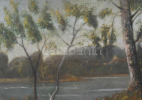 Mednyánszky jelzéssel: Vízparti táj. Olaj, farost, 33×49 cm. Dekoratív, sérült fakeretben