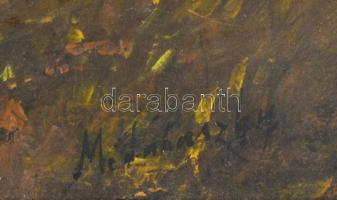 Mednyánszky jelzéssel: Vízparti táj. Olaj, farost, 33×49 cm. Dekoratív, sérült fakeretben