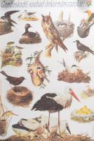 cca 1990 "Gondoskodó, szabad önkormányzatokat!", SZDSZ választási plakát, feltekerve, lapszéli sérüléssel, 58x40 cm