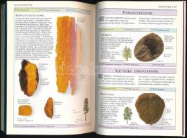 Walker-Ward: Ősmaradványok. Határozó Kézikönyvek. Bp., 1995, Panem-Grafo. Kiadói kartonált kötés, jó...