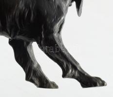 Patinázott bronz kutya szobor, 29x13 cm