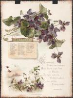 1898 Blumenwünsche Kalender für 1898. Mit Sprüchen von Hermann Pilz. Leipzig-Rednitz, Wezel &amp...