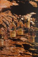 Illa Andreae: Alle Schnäpse dieser Welt. Das internationale Buch der flüssigen Genüsse. Stuttgart,19...