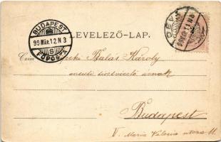 1899 Déva, Vármegyeháza, Piactér, Fő utca, Déva vára, Vajdahunyad vára. Hirsch Adolf kiadása / count...