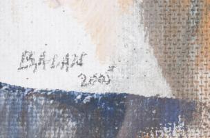 Balázs Imre (1931-2012): Puszta, 2005. Olaj, farost, jelzett, 43×33 cm. Dekoratív, üvegezett fakeret...