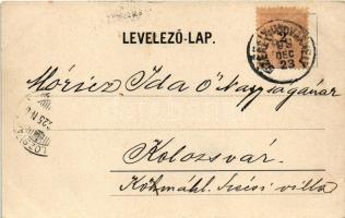 1899 Székelyudvarhely, Odorheiu Secuiesc; Megyeháza, Dénes B. üzlete. Gál János kiadása / town hall,...