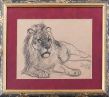 Zombory Lajos (1867-1933): Oroszlán. Ceruza, papír, jelzett, üvegezett fakeretben, 18×25 cm