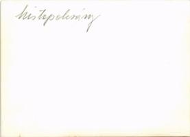 Kistapolcsány, Topolcianky; lovarda / horses. photo (non PC)