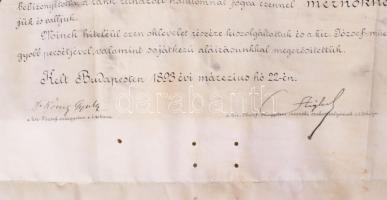 1893 Bp., A Királyi József Műegyetem által kiállított mérnöki oklevél