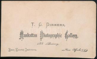 cca 1870 Előkelő úr portréja, vizitkártya, T. G. Dimmers Manhattan Photographic Gallery, New York (U...