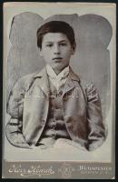 cca 1910 Fiatal fiú portréja, kabinetfotó Herz Henrik budapesti műterméből, szecessziós verzóval, 17x11 cm