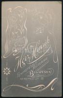 cca 1910 Fiatal fiú portréja, kabinetfotó Herz Henrik budapesti műterméből, szecessziós verzóval, 17...