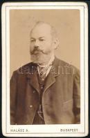 cca 1890-1900 Elegáns úr portréja, vizitkártya Halász Ágoston budapesti műterméből, 11x7 cm